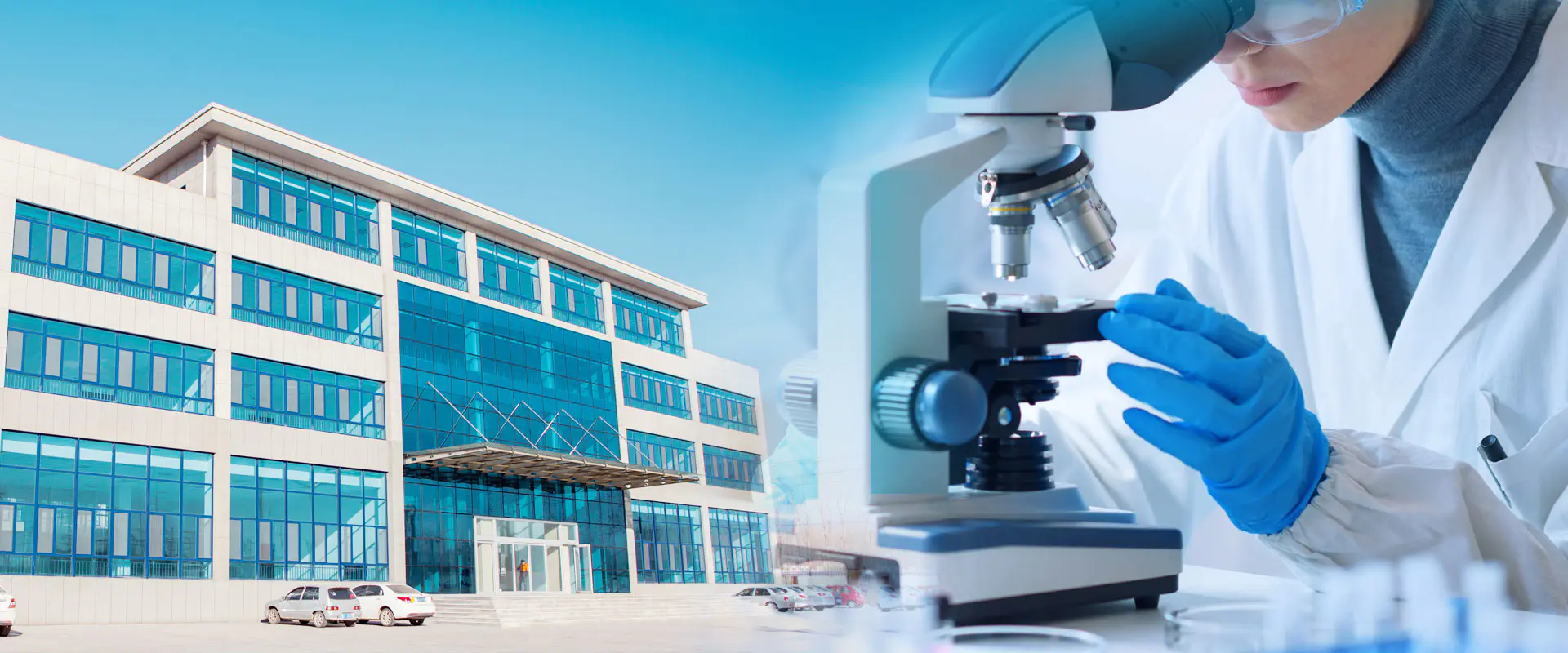 Pengilang Zink Borate